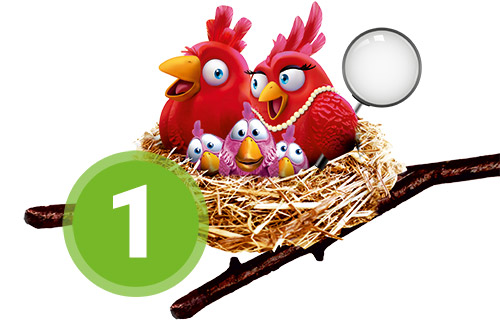 Nestexperten Schritt 1 Nestexperten Schritt 1