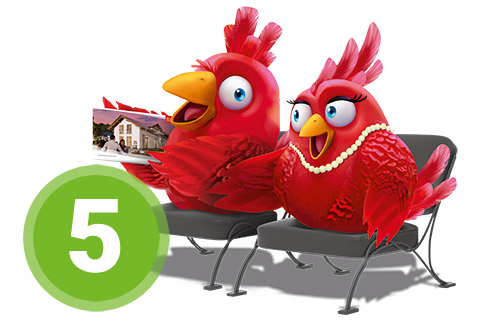 Nestexperten Schritt 5 Nestexperten Schritt 5